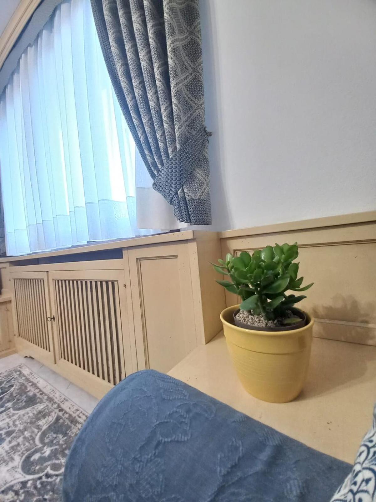 Rosa D' Inverno Сasa de vacaciones