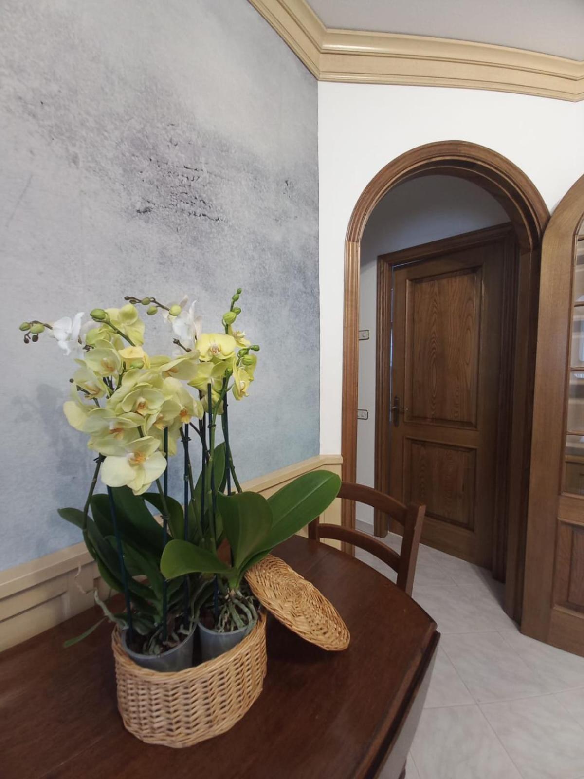Holiday home Rosa D' Inverno *