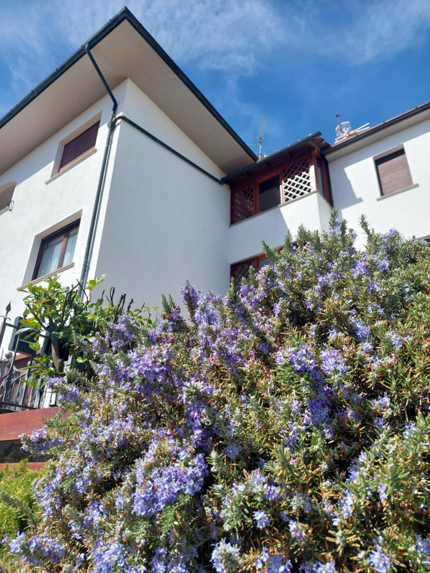 Rosa D' Inverno Holiday home